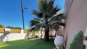 Un jardín con césped artificial, un cactus, una palmera y una pared blanca.