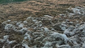 Una playa con olas, un muelle de piedra y una montaña a lo lejos.