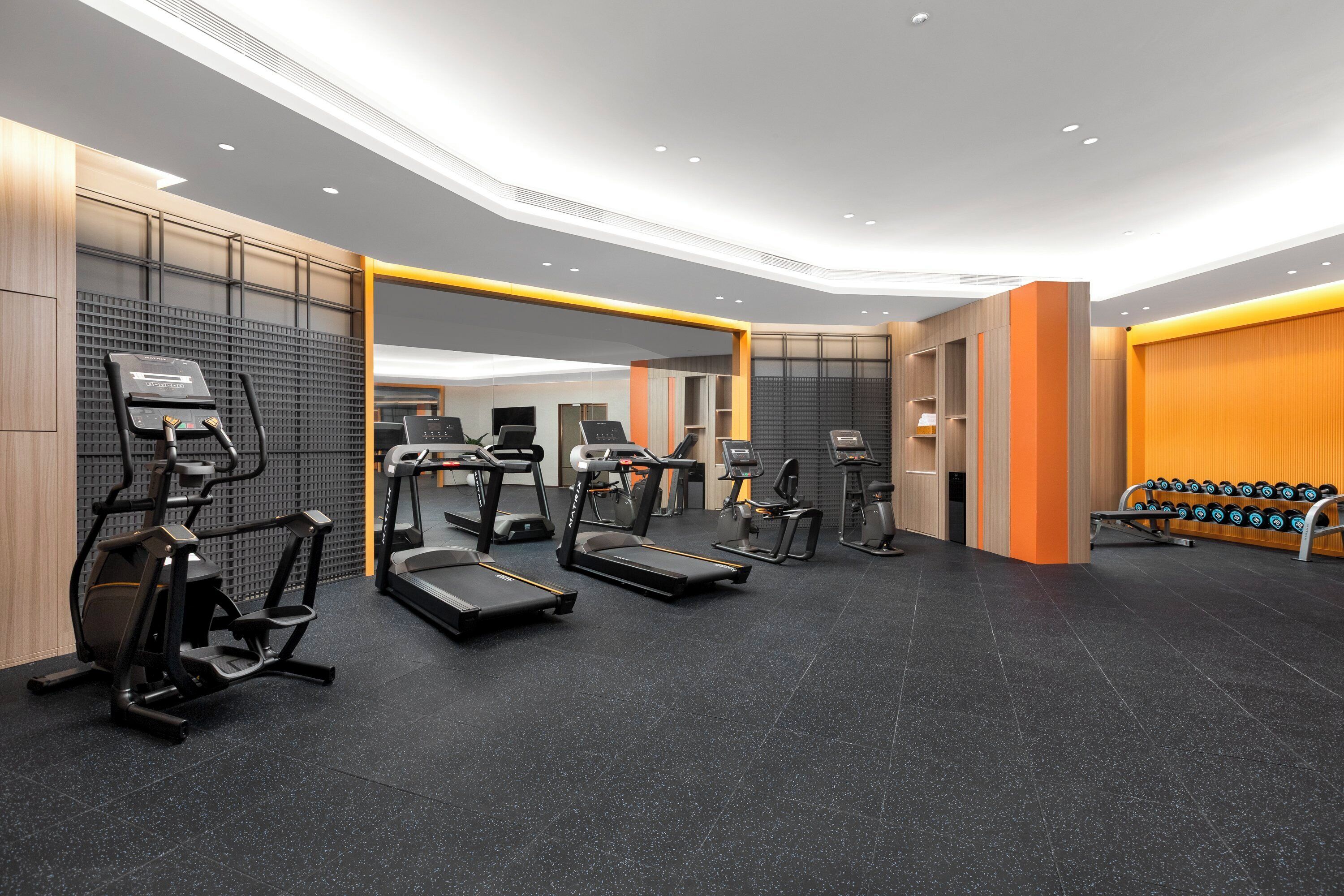 Un gimnasio moderno con varias máquinas de cardio, una banca para pesas y mancuernas.