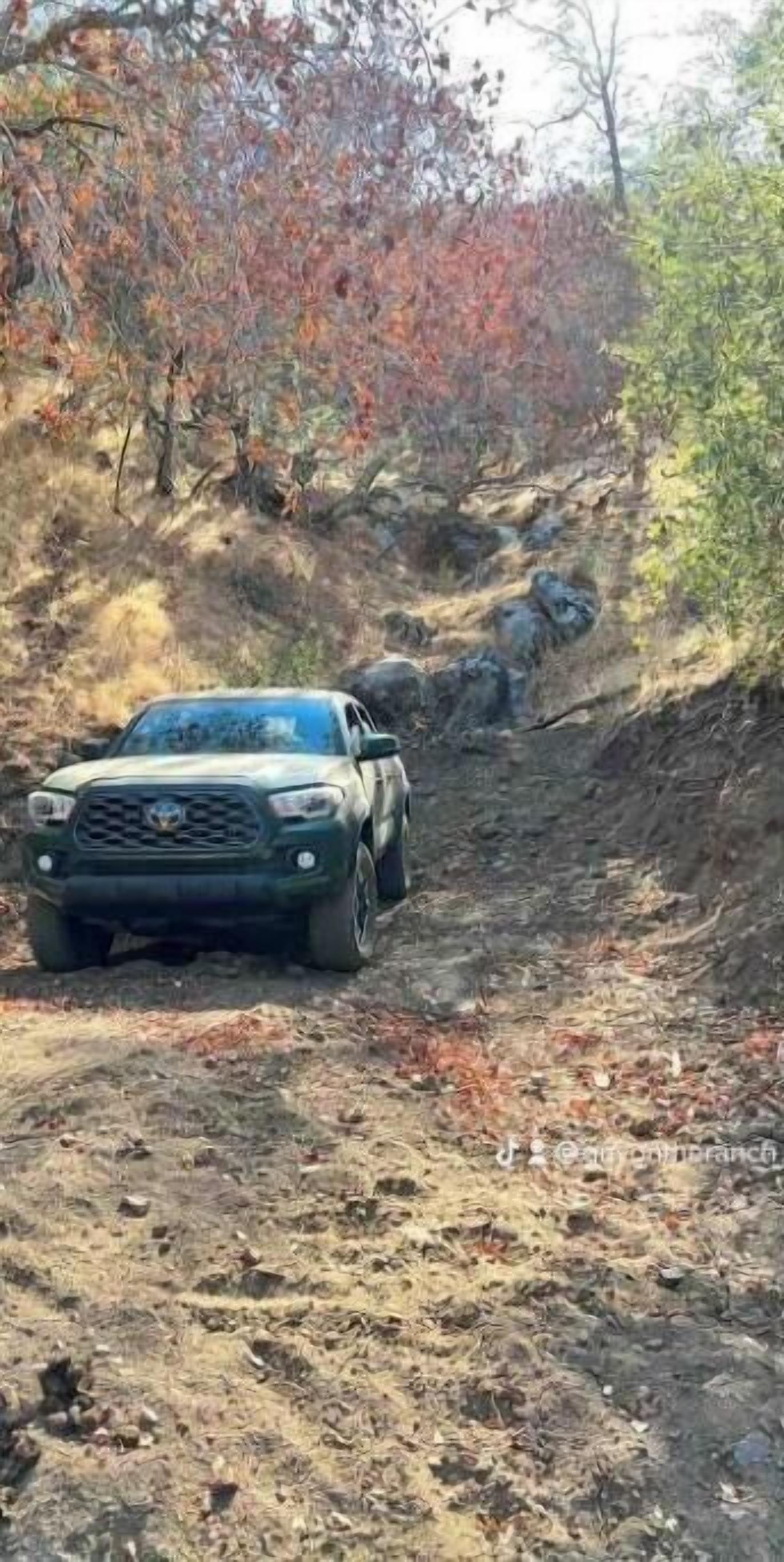 A vehicle on a dirt path surrounded by trees.