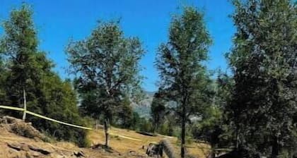 Camping near Sequoia Kings Canyon National Park #2
