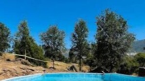 Una piscina azul cristalina rodeada de árboles y una zona junto a la piscina de color blanco.
