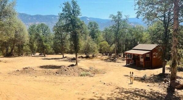 Property grounds