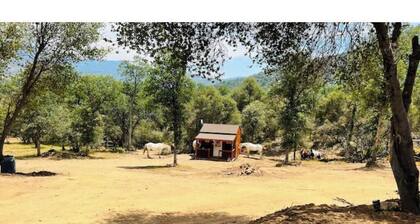Camping near Sequoia Kings Canyon National Park #8