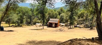 Camping near Sequoia Kings Canyon National Park #10