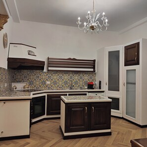 Oven, stovetop, dishwasher