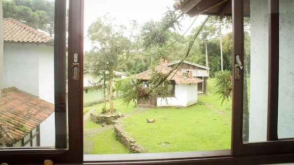 Classic Suite | View from room
