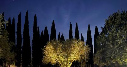 Vacation home with pool in Tuscany - enjoy relaxation, style and nature!