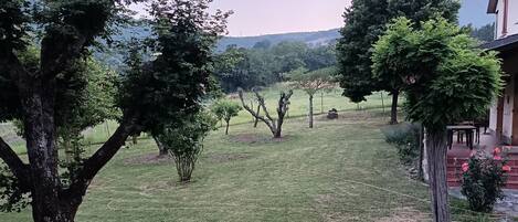 Overnatningsstedets område