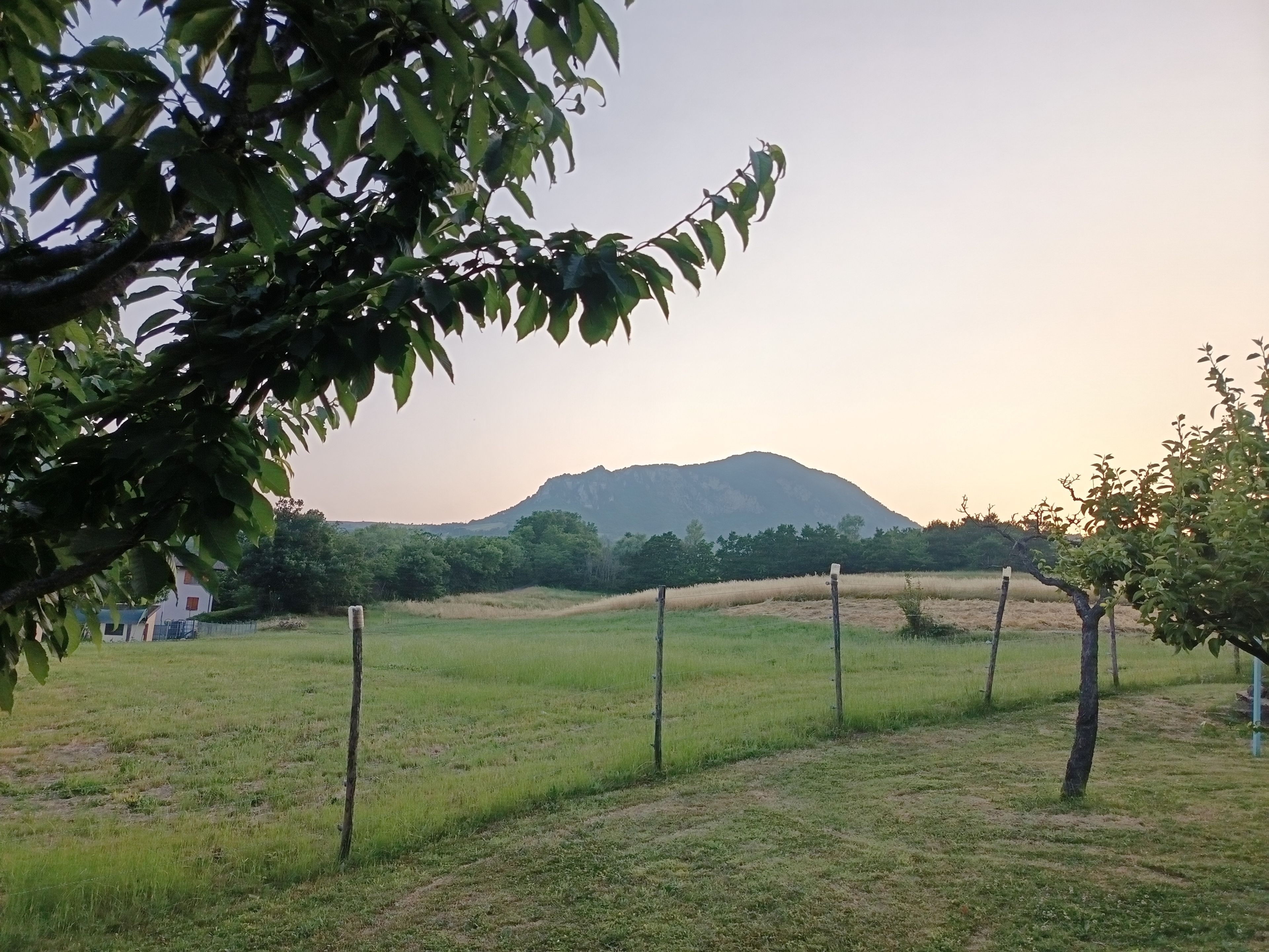 Un champ herbeux avec une montagne en arrière-plan, une clôture et quelques arbres.
