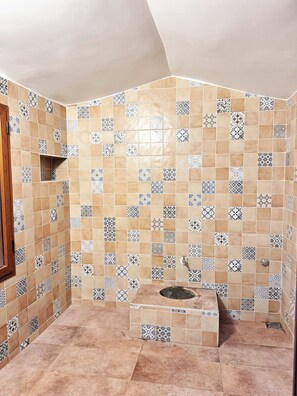 Shower, towels, soap, toilet paper