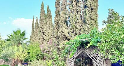 Atlas dream Villa with private pool and view of the atlas mountains!