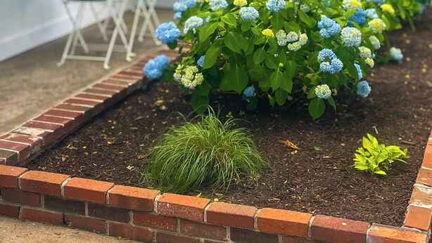 A white house with a brick border garden featuring hydrangea plants. - Cape Cod Motor Inn (South Yarmouth)