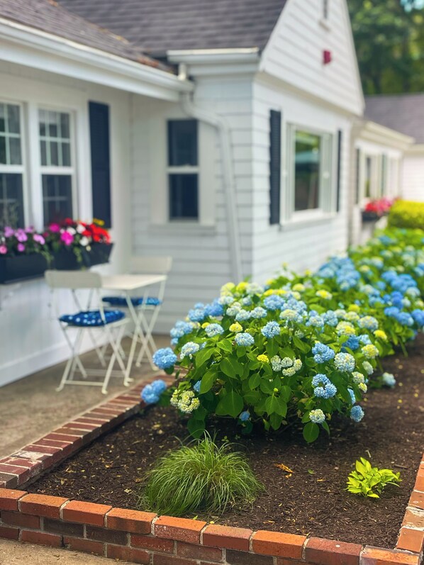 Exterior - Cape Cod Motor Inn (South Yarmouth)