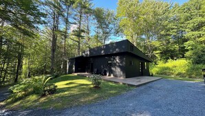 A modern cabin with a dark exterior, surrounded by a forest.