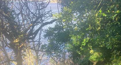 Maison familiale avec jardin et accĂšs plage. Ria d'Etel. Calme et sauvage.