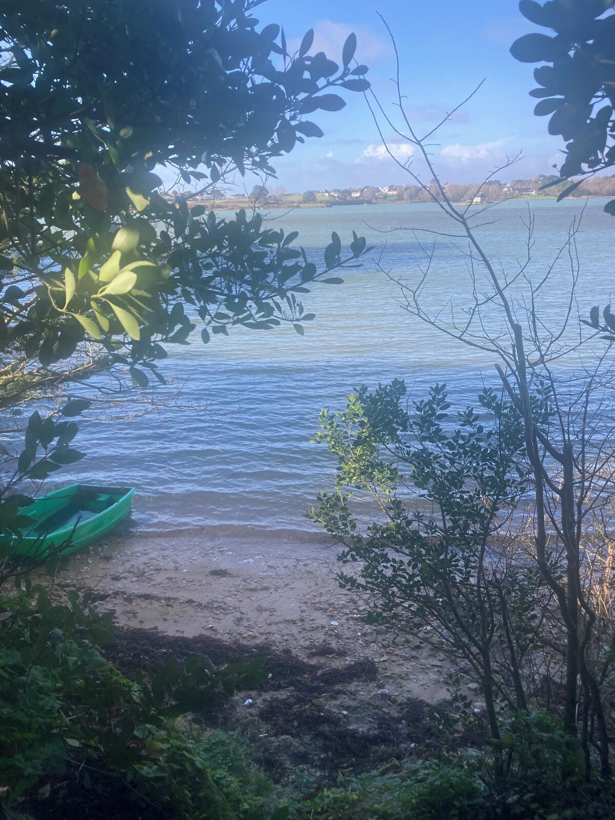 Imagen de perfil del propietario o de la propietaria