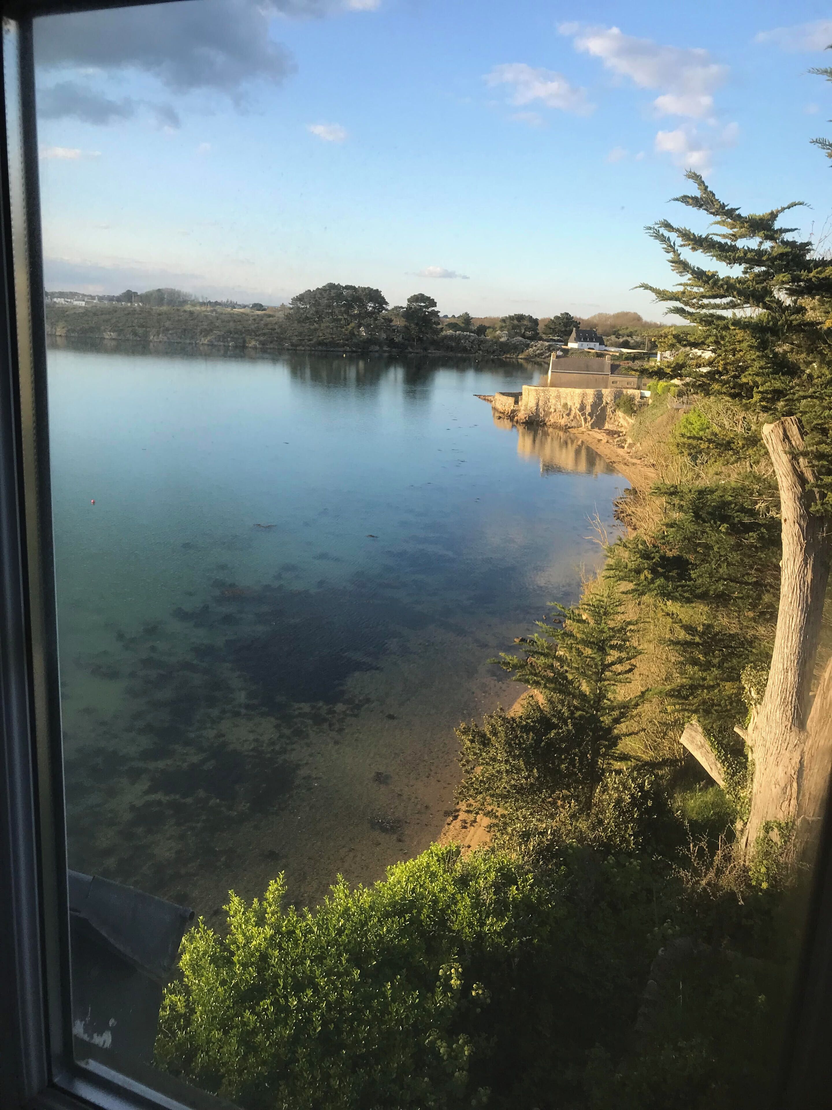 Vista de un lago tranquilo con orilla, un edificio distante y follaje circundante.