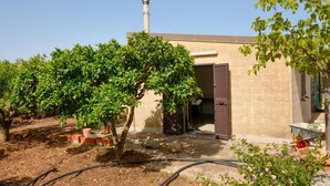 A building with a door open, surrounded by greenery and a garden. - 2 bedroom pet friendly home in Comiso (Comiso)