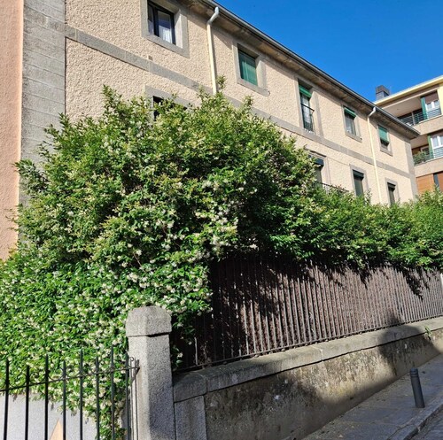 Impressive nature, cultural life and sports near Madrid: El Escorial