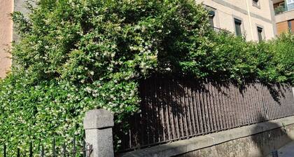 Impressive nature, cultural life and sports near Madrid: El Escorial