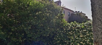 Impressive nature, cultural life and sports near Madrid: El Escorial