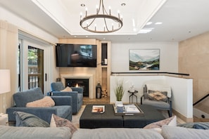 Smart TV, fireplace, books