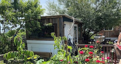Unplug and unwind in natureâs peace at The Drift Marsh â your off-grid escape