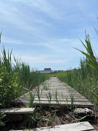  Unwind in nature’s peace at The Drift Marsh — your off-grid summer escape