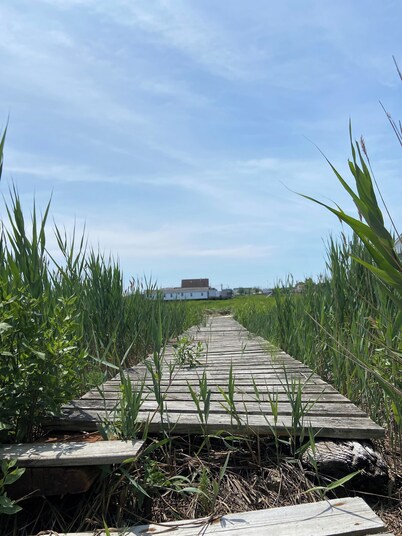 Unwind in nature’s peace at The Drift Marsh — your off-grid summer escape