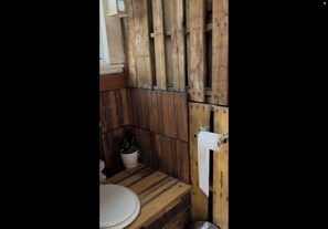 Shower, soap, toilet paper