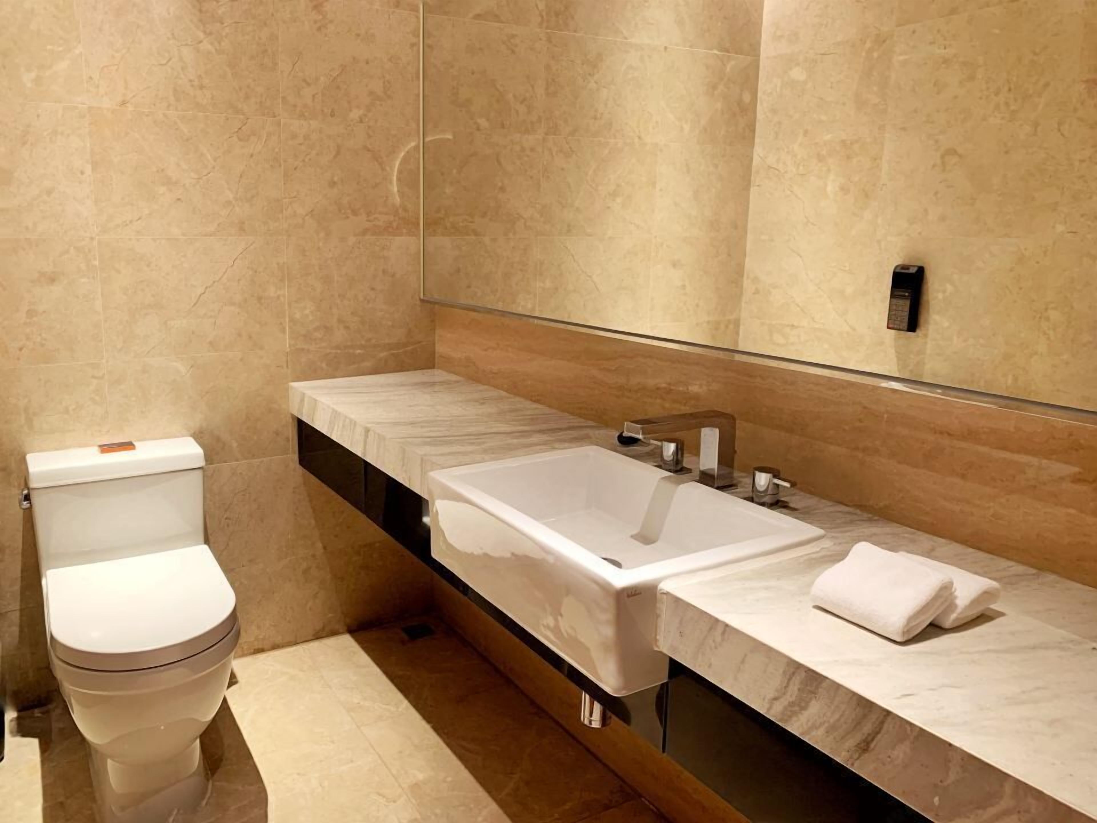 A modern bathroom with a toilet, a large sink, and a mirror.