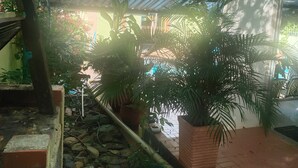 A covered outdoor area with potted plants, a concrete floor, and a metal roof. - MAUKA OASIS Taganga  (Santa Marta)
