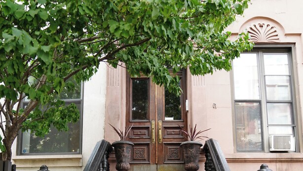 A grand staircase with ornate balustrades and a large tree providing shade.