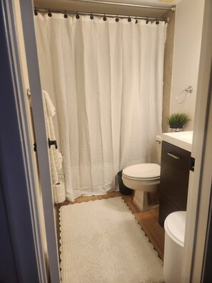 Shower, towels, toilet paper
