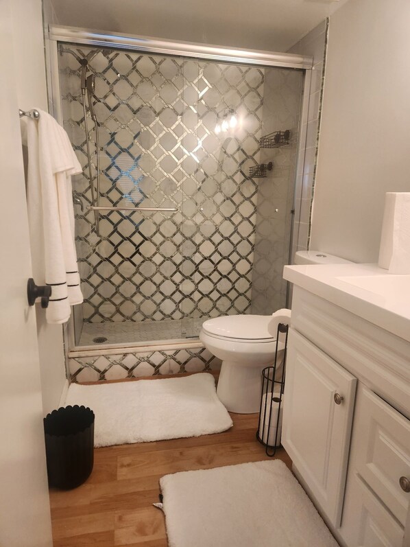 Shower, towels, toilet paper