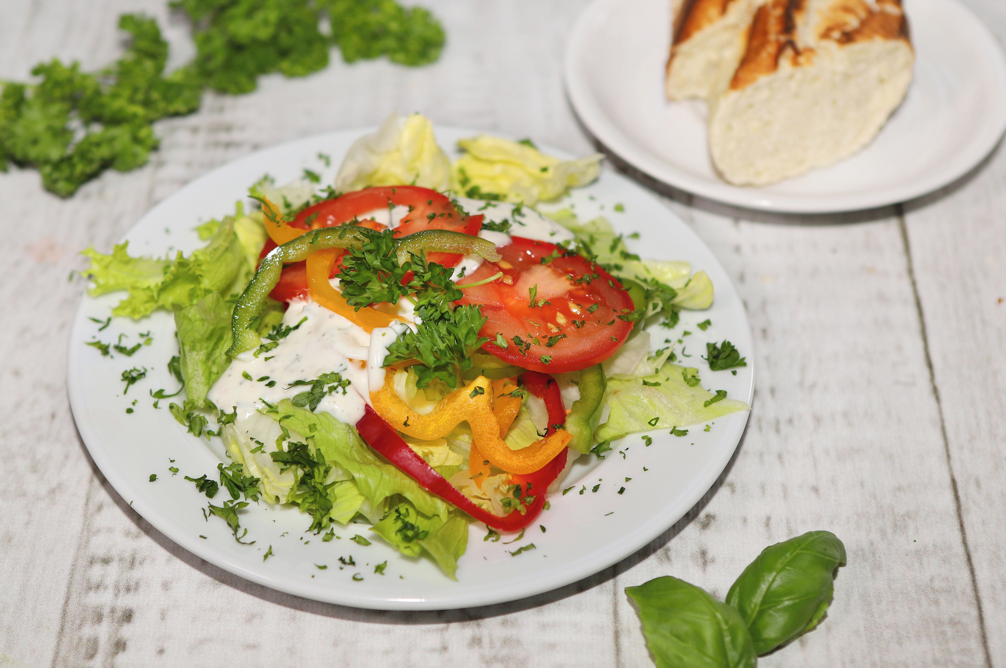 A plate of salad with lettuce, tomatoes, and peppers, garnished with herbs, on a white plate.