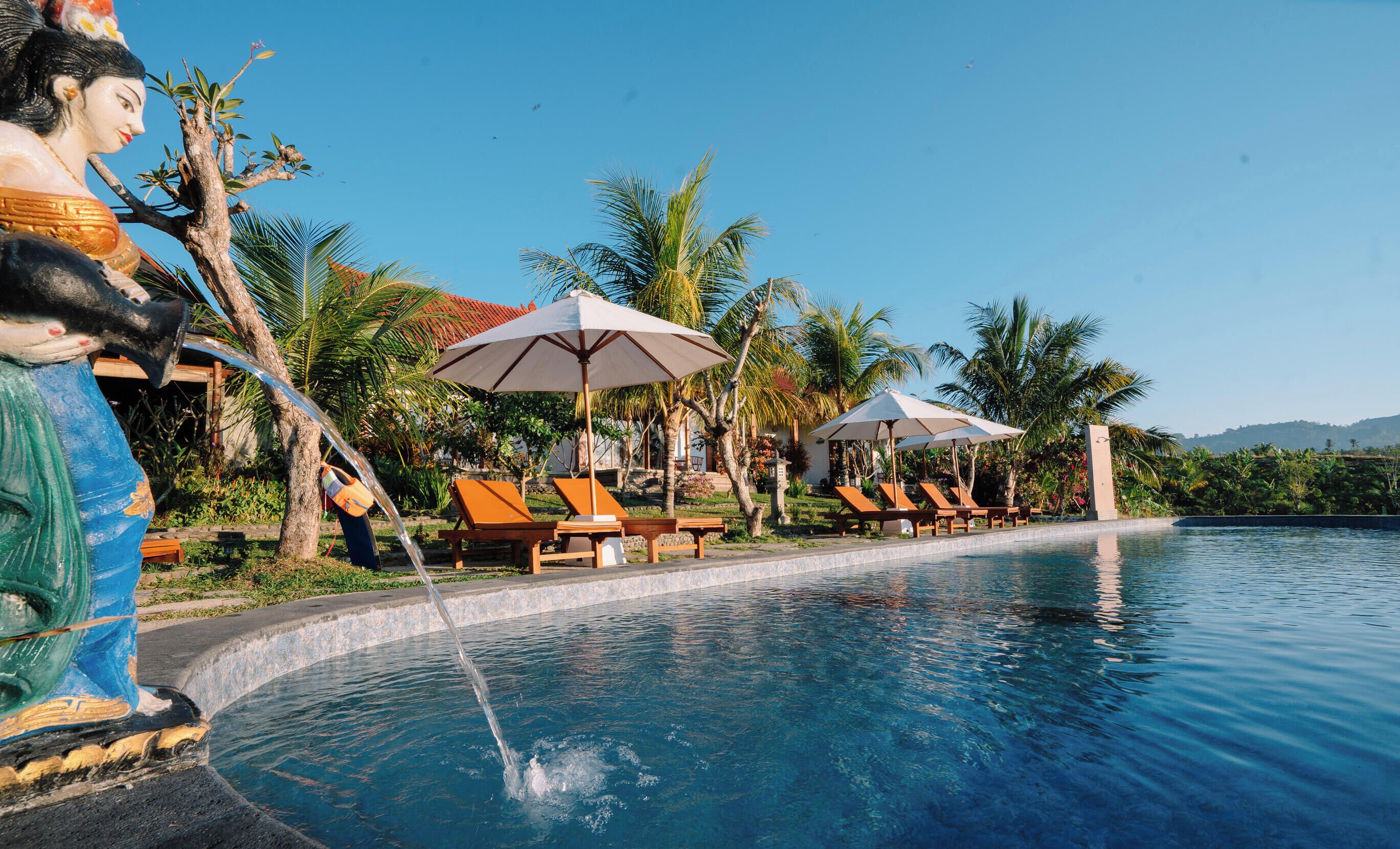 Ein Poolbereich mit Liegestühlen und Sonnenschirmen, umgeben von Palmen und blauem Himmel.