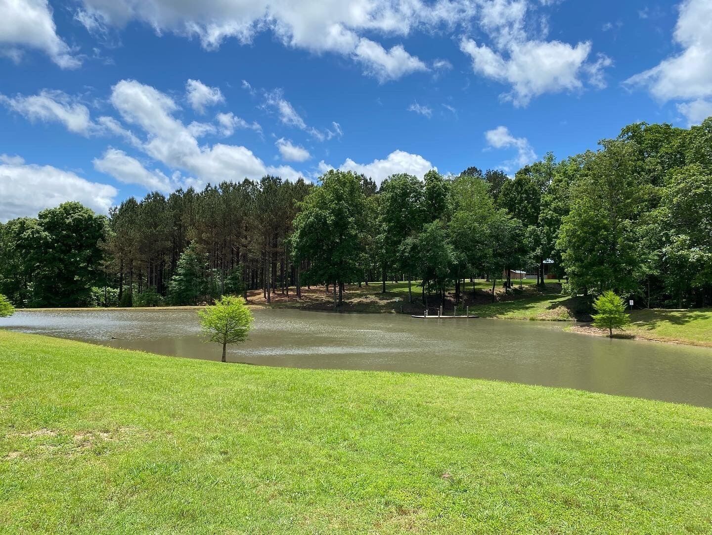 A serene park with a pond, grassy areas, and a dense forest in the background.