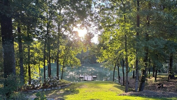A serene garden with a wooden dock extending into a lake, surrounded by lush greenery and trees. - Southern Charm Sardis cabin 2-bedrooms with A/C, WiFi, and satellite TV (Sardis)