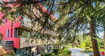 Aquarelle - city forest chill