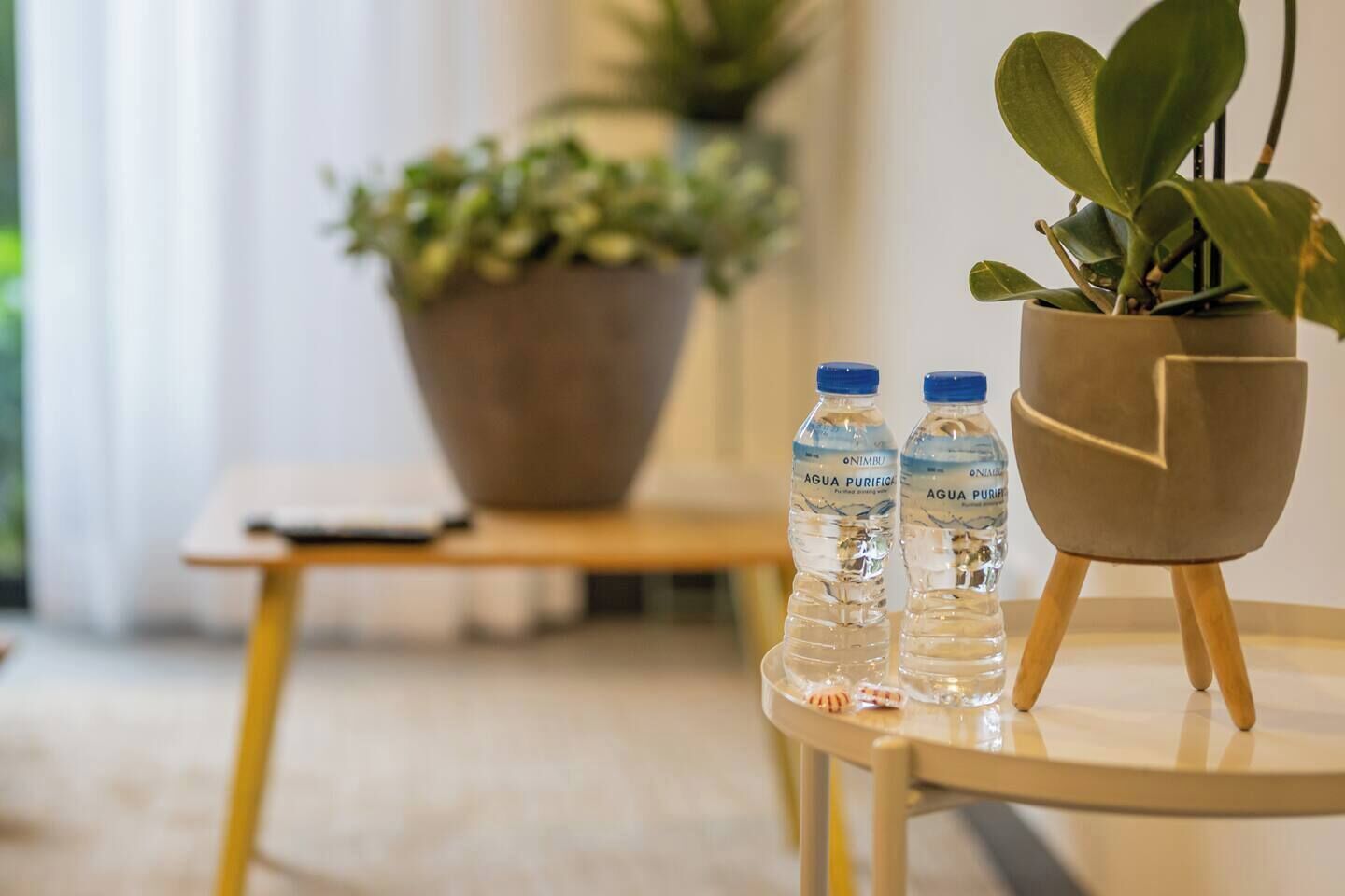 Una pequeña mesa redonda con dos botellas de agua y una planta en maceta sobre un suelo de madera.