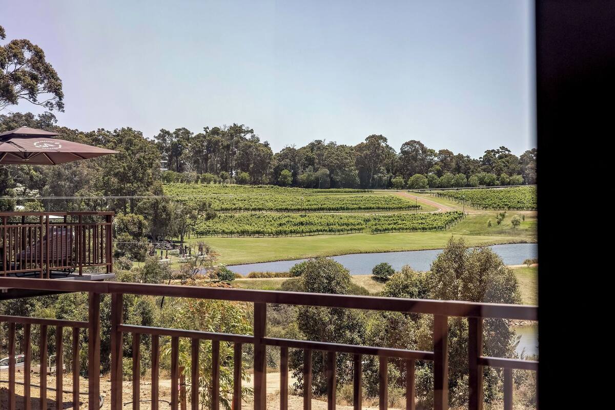 A vineyard with rows of grapevines, a river, and a bridge.