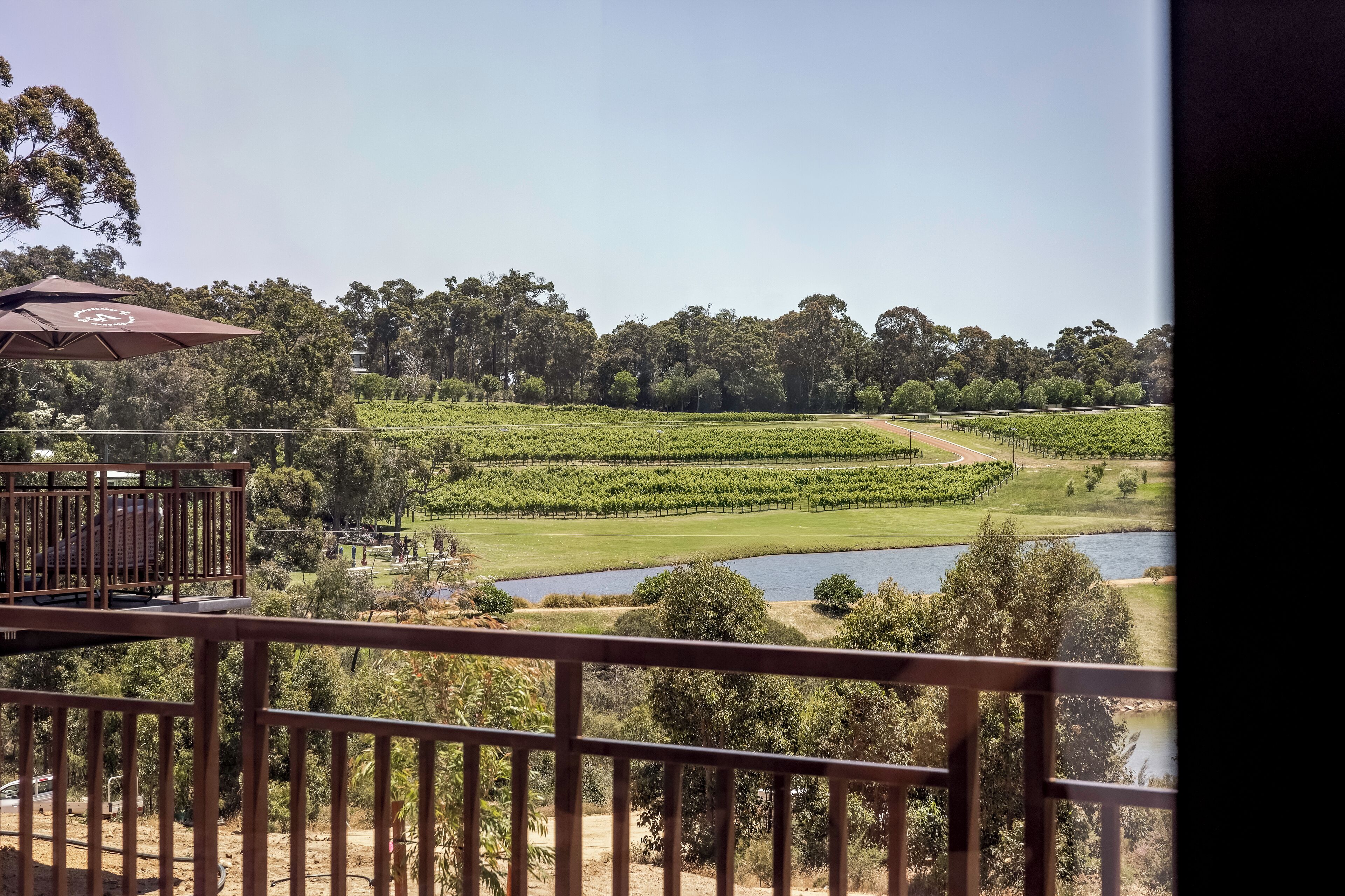 Viñedo con un río y cielo despejado.