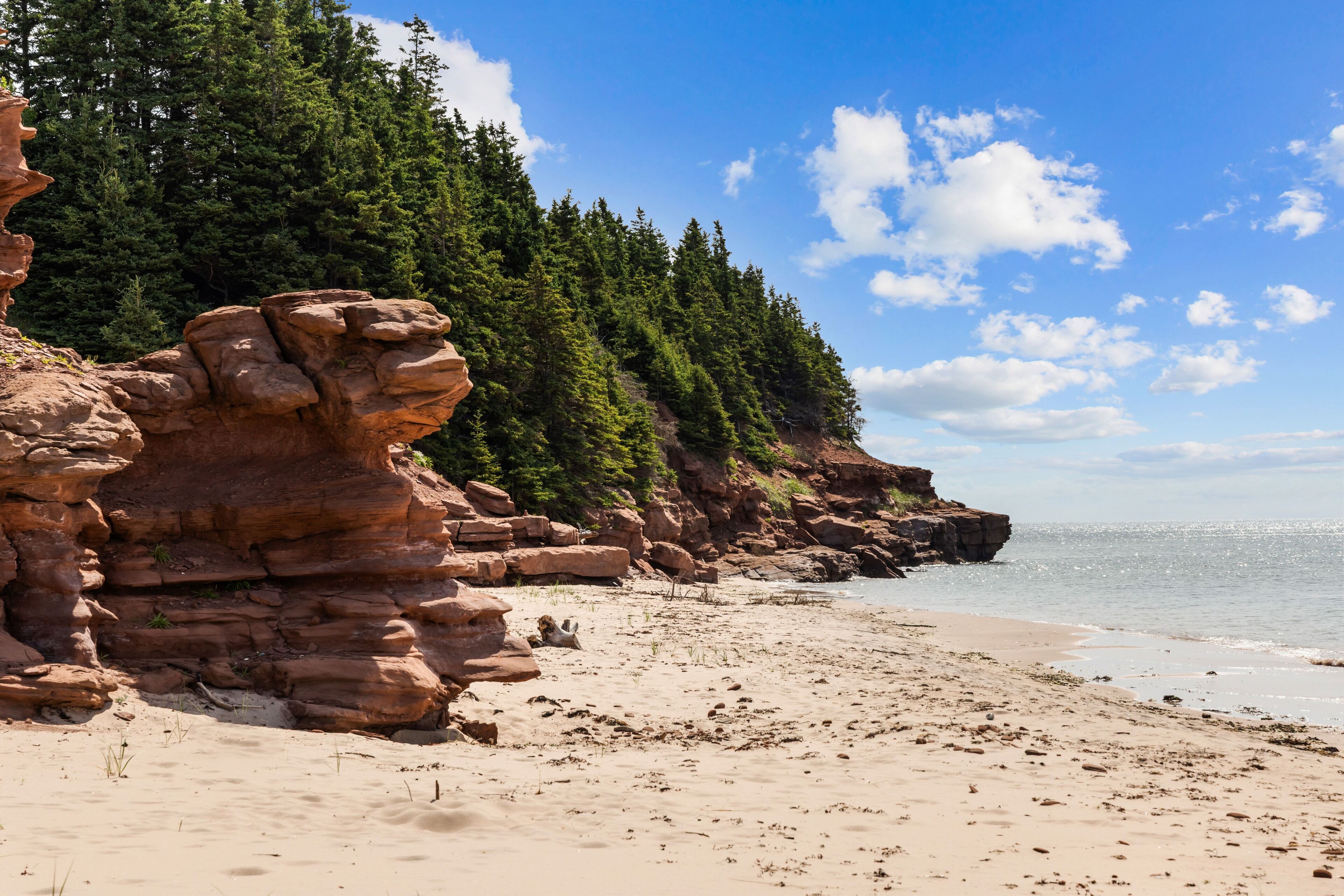 ビーチ、サンラウンジャー、ビーチタオル