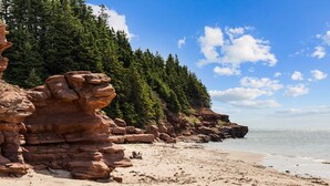 A coastal landscape with rocky cliffs, a sandy beach, and dense green forest. - Megvy: Oceanfront PEI Beach House with Gazebo, Deck & Private Beach Access (Prince Edward Island)