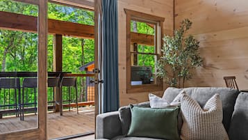 Smart TV y chimenea
