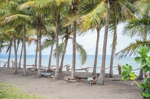 Japandi Tropical Stay