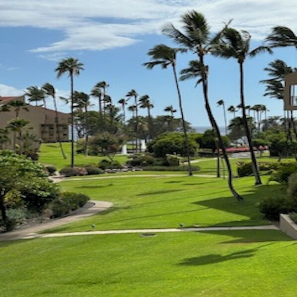 Property grounds - Kamaole Sands Condo, 1 BDR, Beautiful space. Gourmet Kitchen Split A/C's (Kihei)