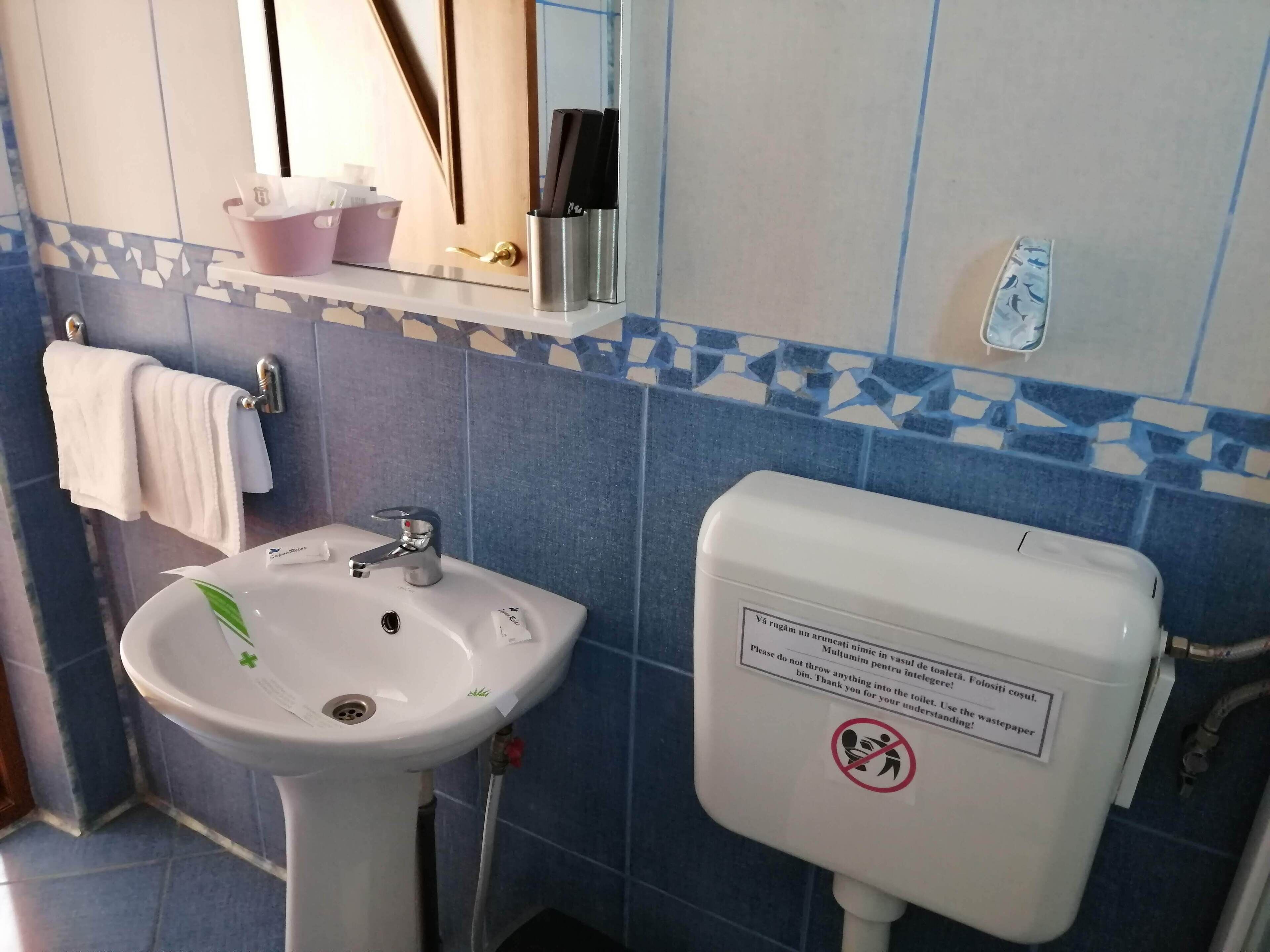 A bathroom with a sink, mirror, and toilet. There is a towel rack with a white towel, a soap dispenser, and a trash bin. The walls are tiled with blue and white patterns.